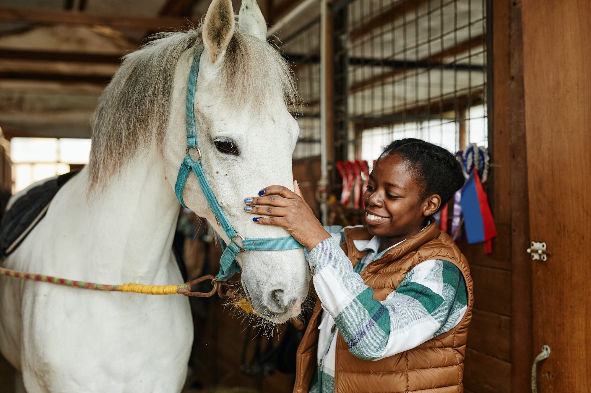 Woman with White Horse in Stables